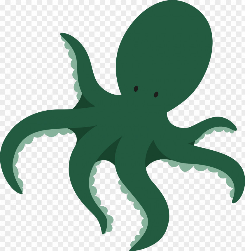 Octapus Marine Biology Octopus Sea PNG