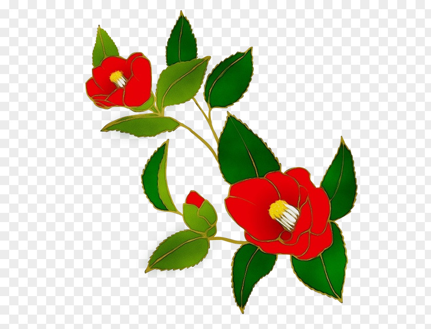 Petal Leaf Flower Plant Red Flowering PNG