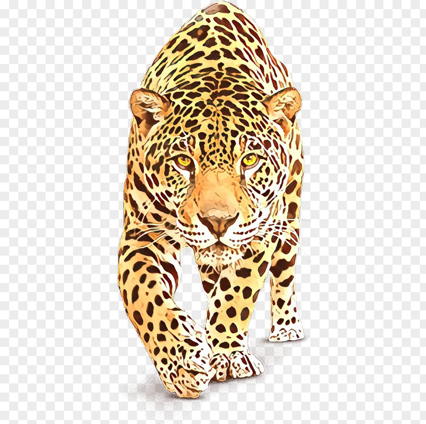 Big Cats Snout Terrestrial Animal Wildlife Jaguar African Leopard Figure PNG