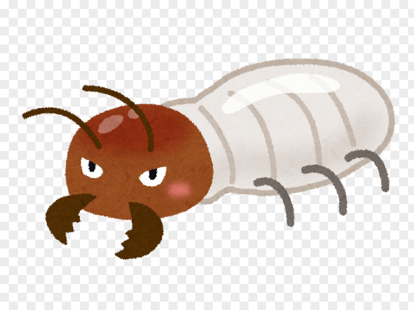 House Ant Termite Pest Control Insect PNG