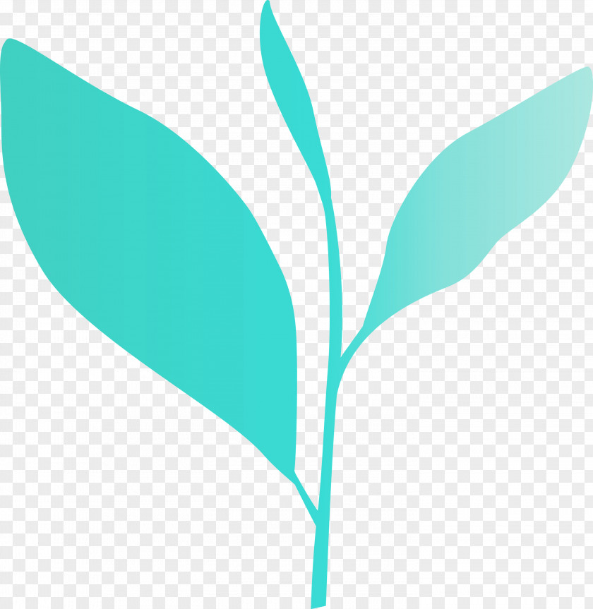 Leaf Green Plant Turquoise Flower PNG