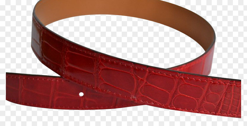 Luis Vuitton Belt Buckles Strap PNG