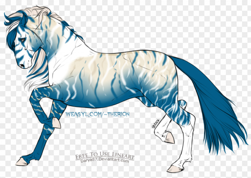 Mustang Mane Pony Appaloosa Stallion PNG