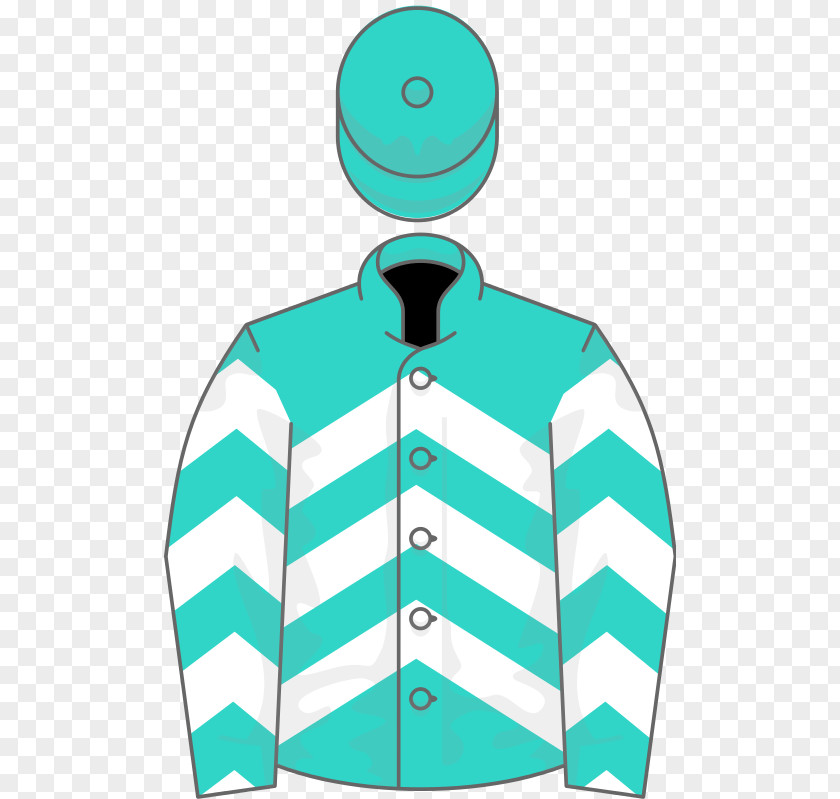 Thoroughbred 2000 Guineas Stakes Wokingham Horse Racing Stewards' Cup PNG