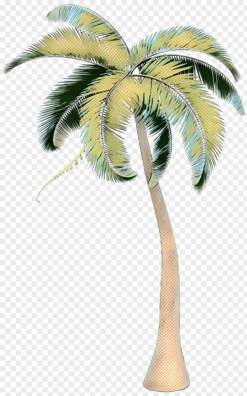 Asian Palmyra Palm Coconut Trees Date Borassus PNG
