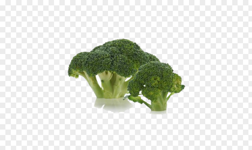 Broccoli Buckle Free Image Vegetable PNG