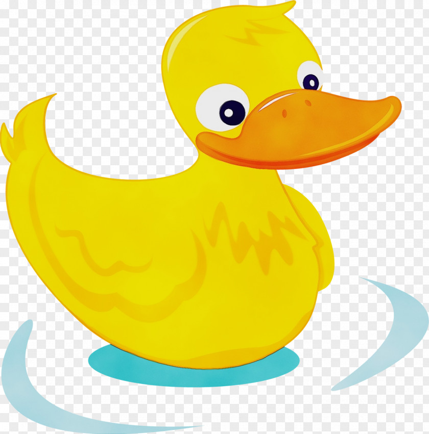 Duck Bird Yellow Ducks, Geese And Swans Water PNG