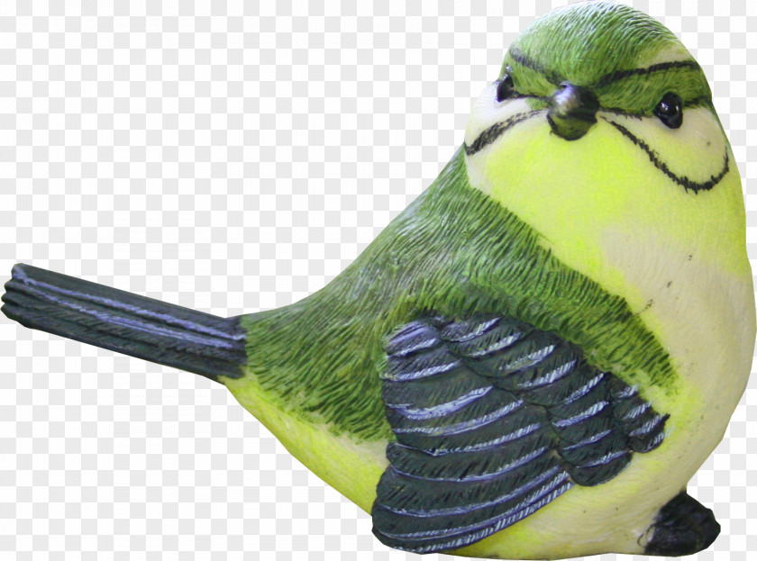 Green Birds Stay Meng Bird House Sparrow Clip Art PNG