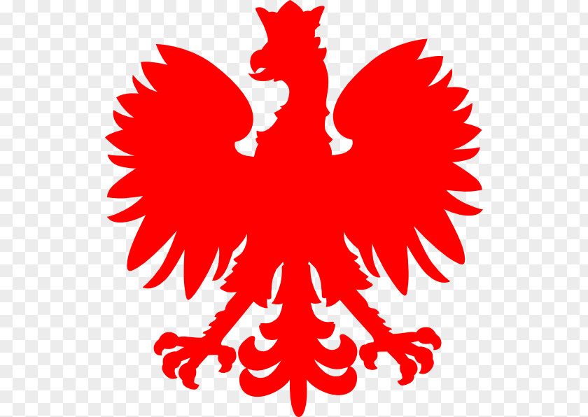 Polish Cliparts Coat Of Arms Poland Flag Clip Art PNG