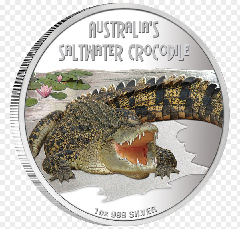 Saltwater Crocodile Nile Perth Mint Alligator Coin PNG