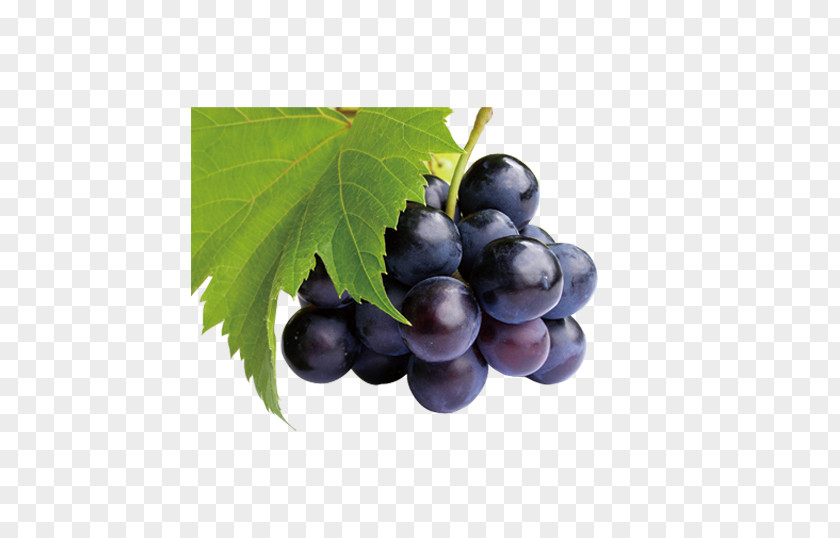 Black Grapes Juice Common Grape Vine Frutti Di Bosco Fruit PNG