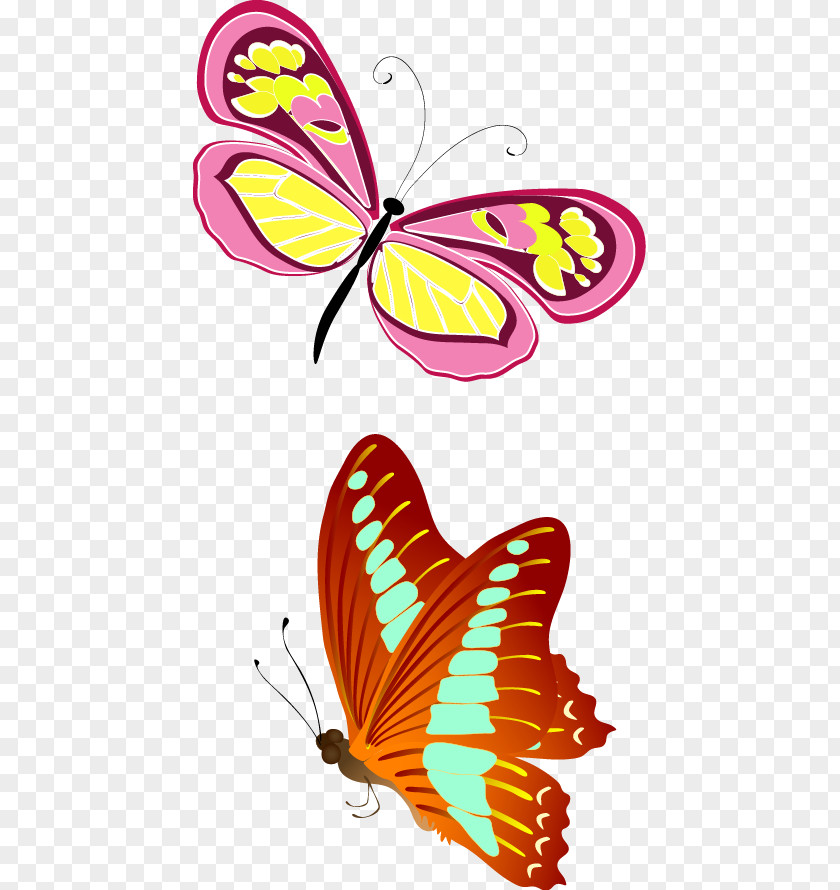 Fun Colorful Butterfly Vector Beautiful Animal Bee Euclidean PNG