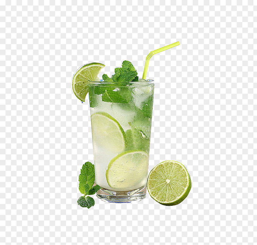 Lemonade Mojito Rebujito Juice Rickey Vodka Tonic PNG