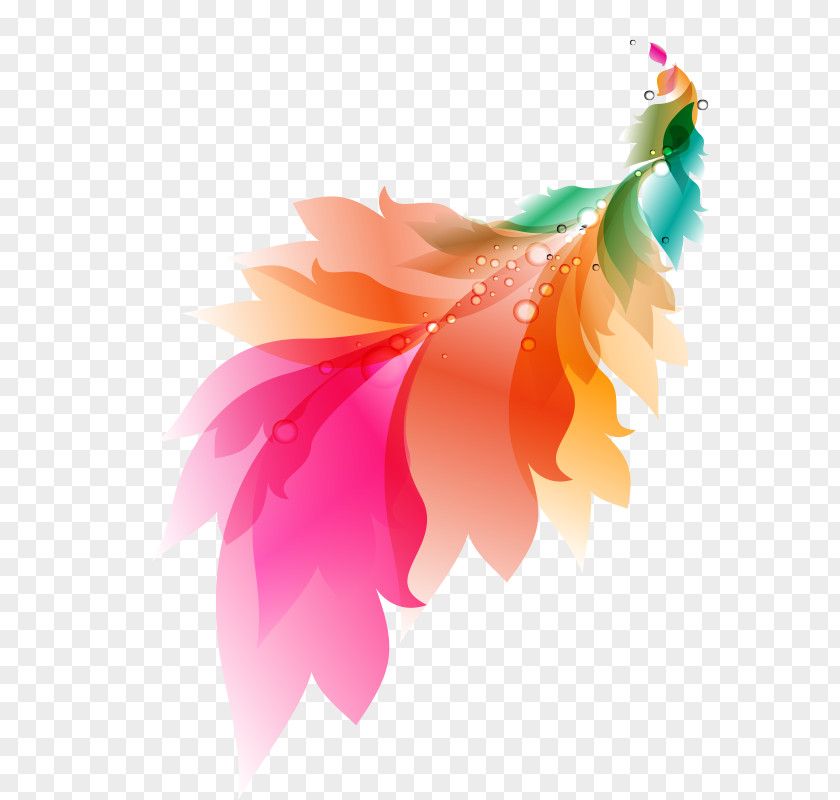 Phoenix Color Watercolor Painting Feather PNG