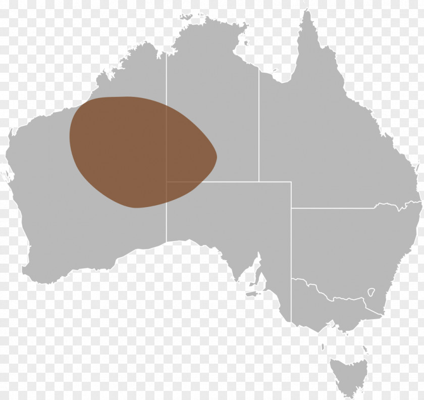 World Map Atlas / Australia Vector Graphics Mangrove Creek PNG