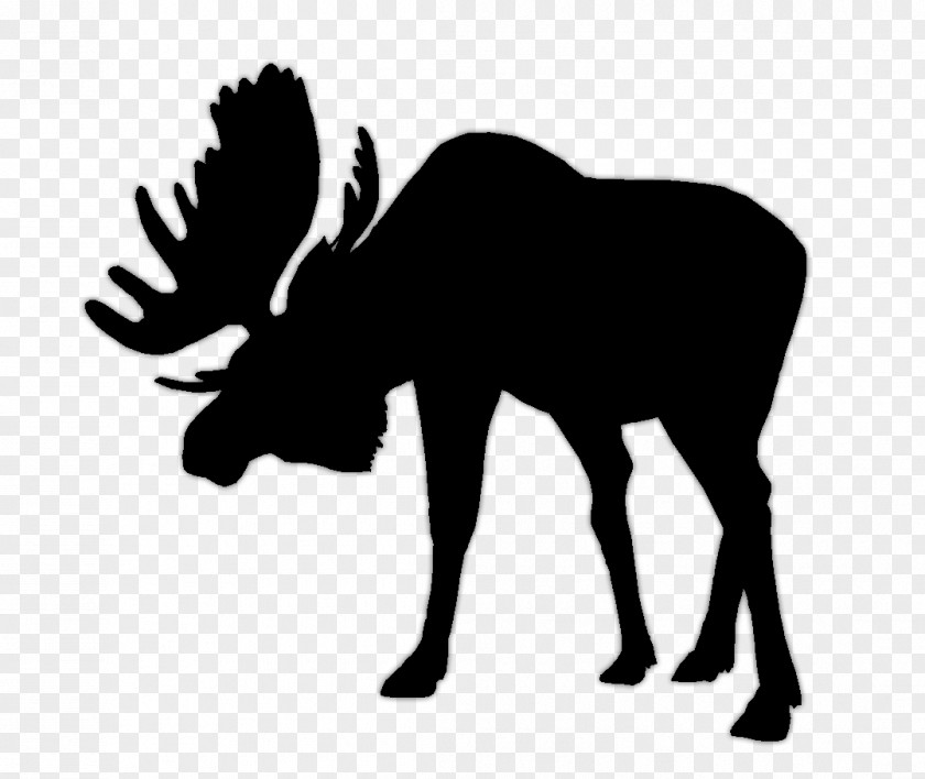 Clip Art Moose PNG