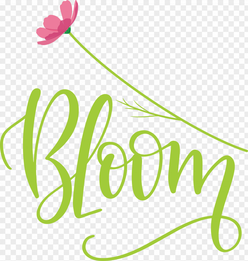 Bloom Spring PNG