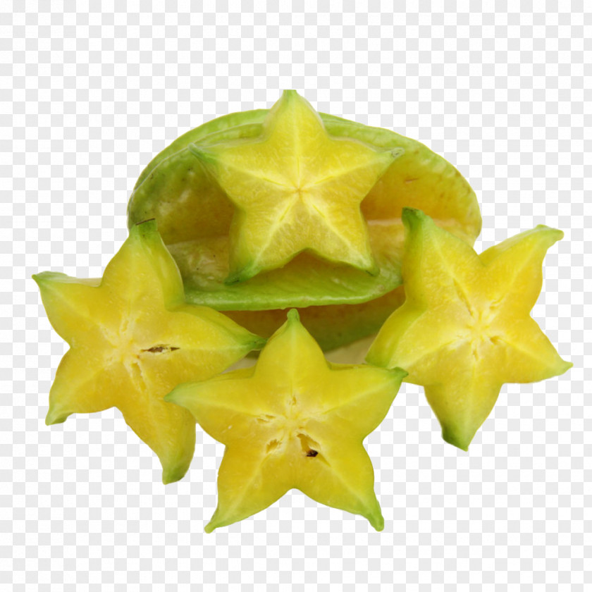Carambola Photography PNG photography clipart PNG