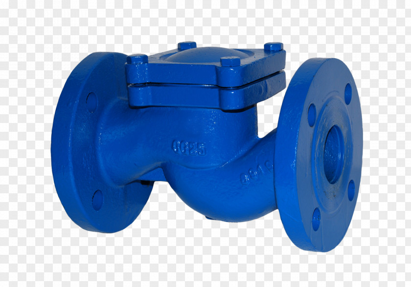 Check Valve Piping Nominal Pipe Size Absperrventil PNG