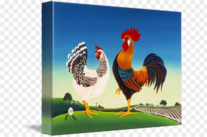 Chicken Rooster Galliformes Hen Painting PNG