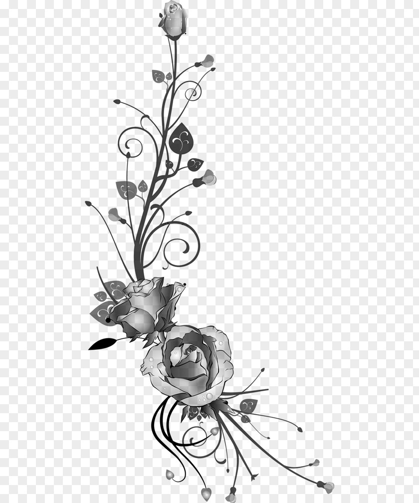 Flower Floral Design Photography Clip Art PNG
