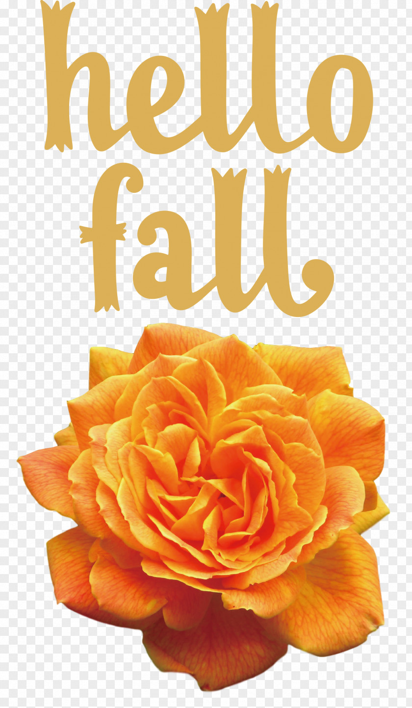 Hello Fall Fall Autumn PNG