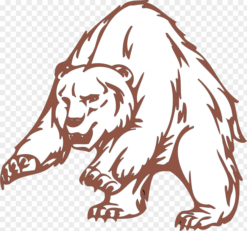 Polar Bear Tiger Drawing Lion PNG