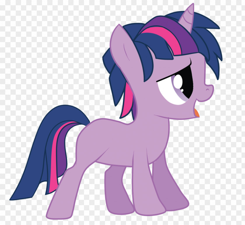 Twilight Pony Horse Sparkle Rainbow Dash YouTube PNG