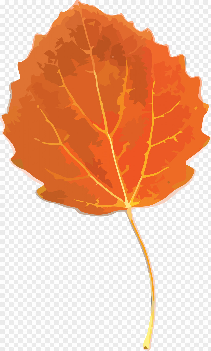 Autumn Leaf Yellow PNG