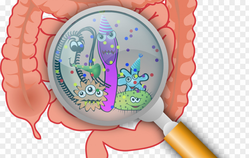 Bacteria Gastrointestinal Tract Disease Gut Flora Small Intestinal Bacterial Overgrowth PNG