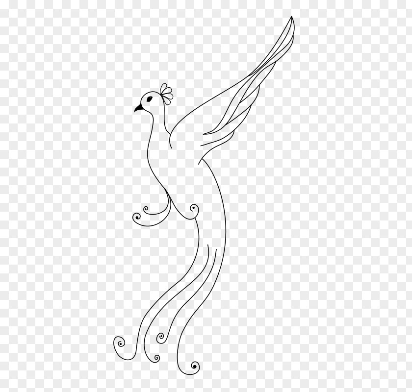 Bird Pavo Chicken Drawing Clip Art PNG