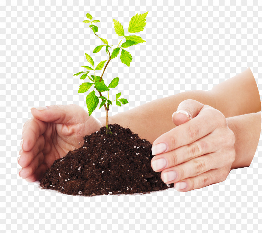 Compost Ess Dee India Packaging And Labeling Company Paper PNG