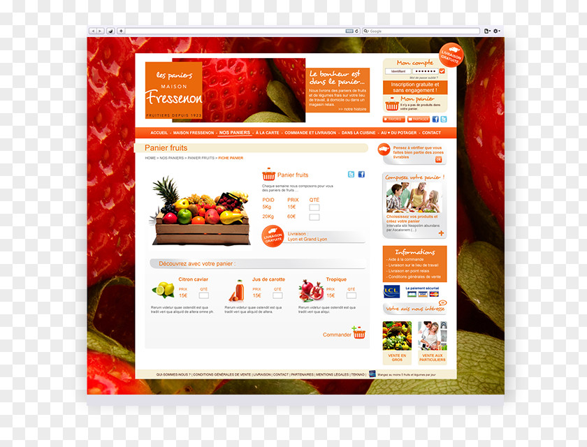 Panier Commerce Display Advertising Web Page PNG