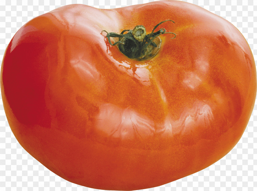 Tomato Image Cherry Salsa Bell Pepper PNG