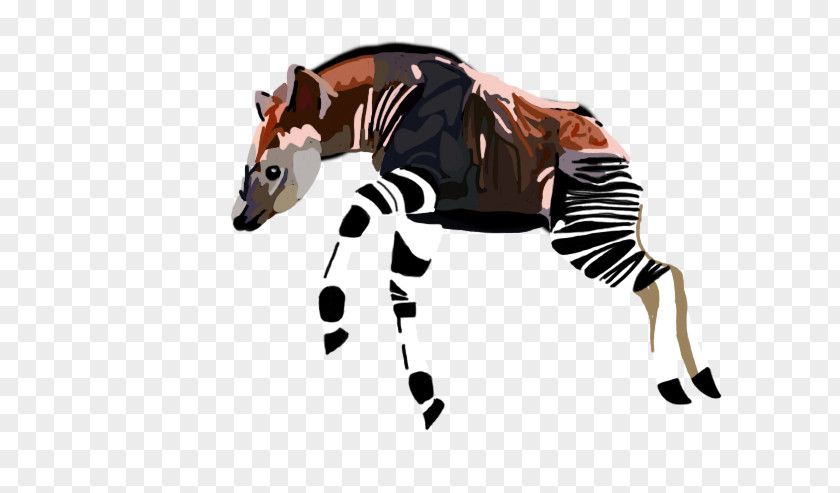 Giraffe Okapi Drawing PNG