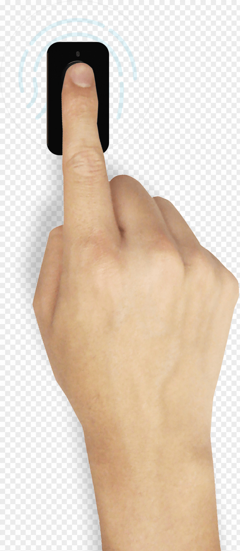 Nail Thumb Hand Model PNG