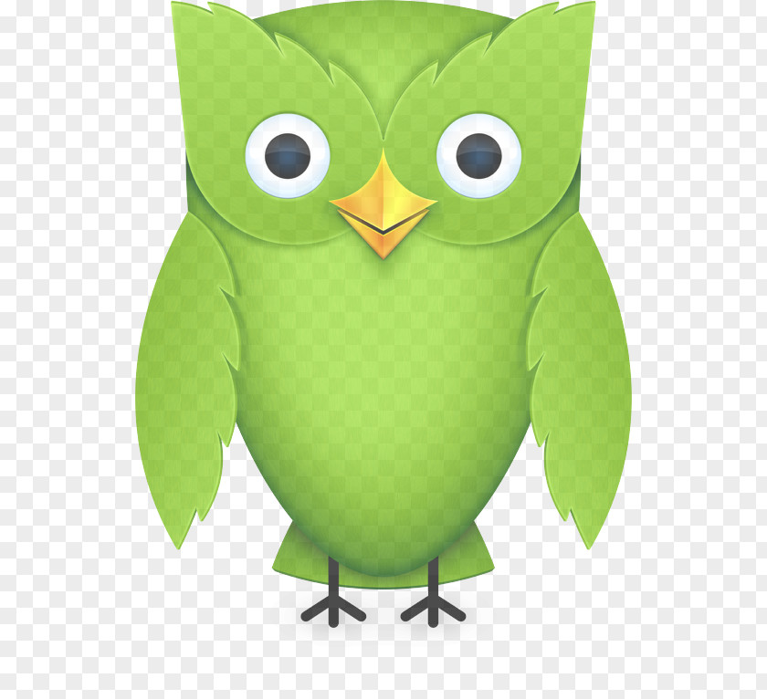 Screech Owl Animation Green Cartoon Bird Of Prey PNG