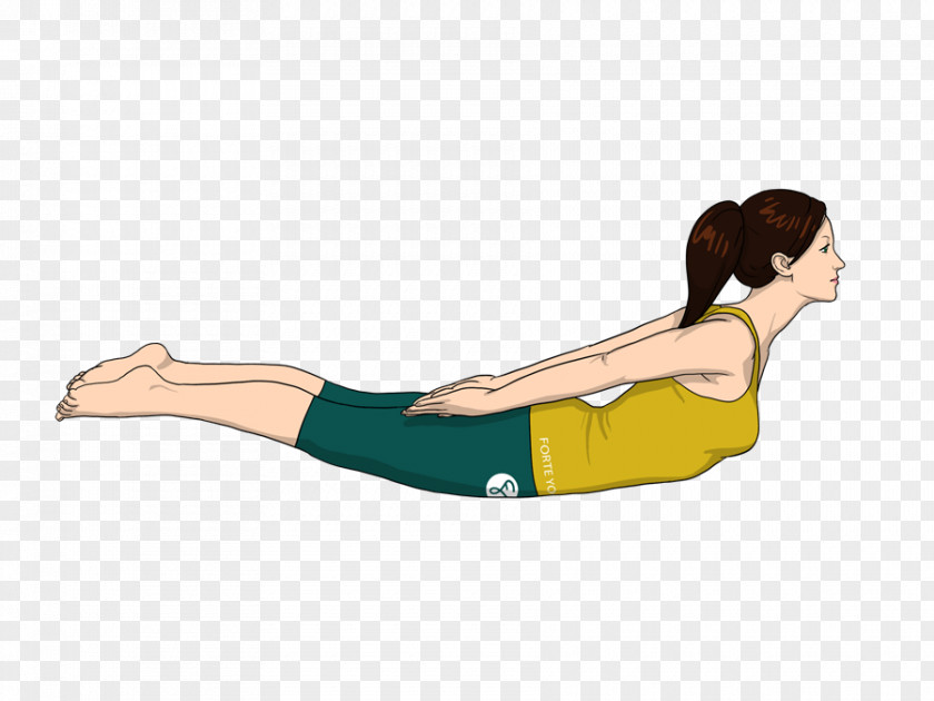 Yoga Cartoon Salabhasana Exercise Plank PNG