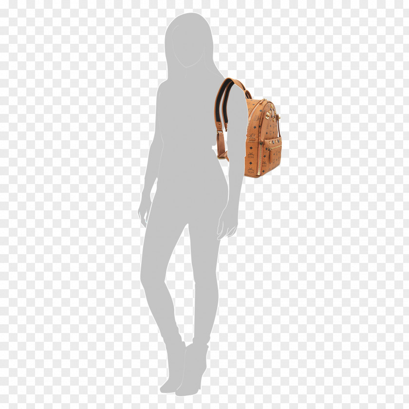 Bag Shoulder Shoe Handbag Messenger Bags PNG