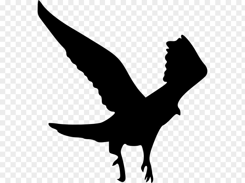 Flying Crow Silhouette Hawk Clip Art PNG