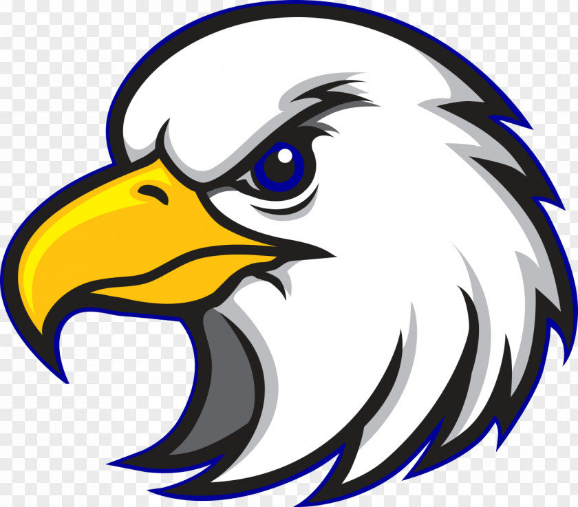 Hawk Logo Mascot Company Eagle PNG