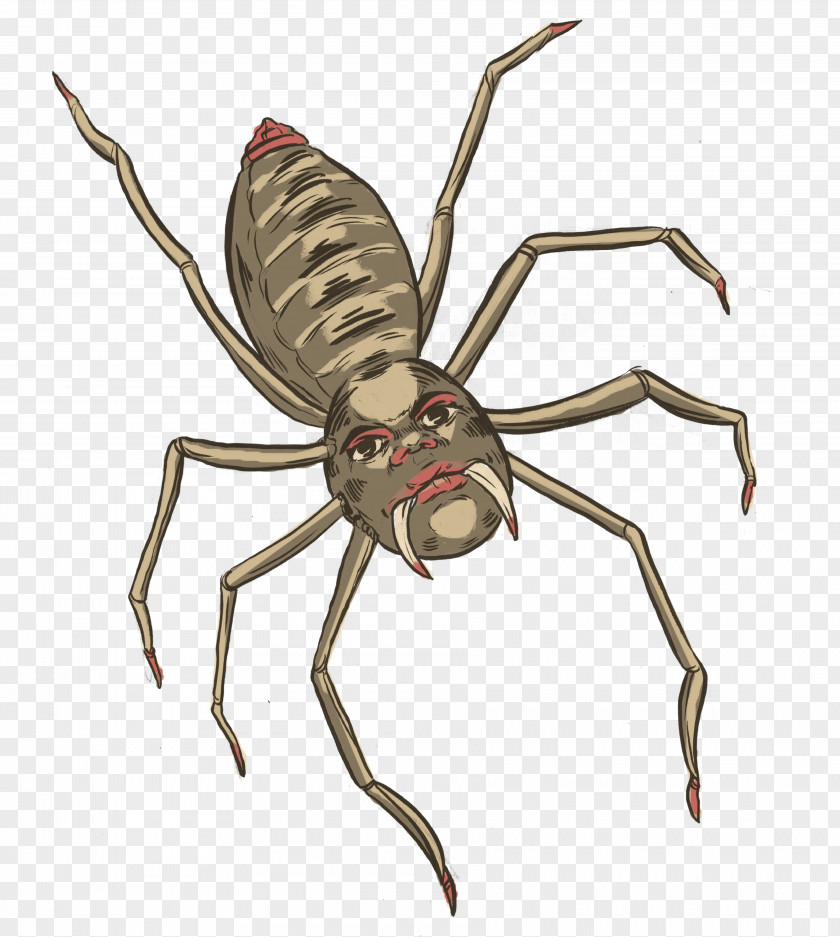 Insect Weevil Arachnid Spider-Man Pest PNG