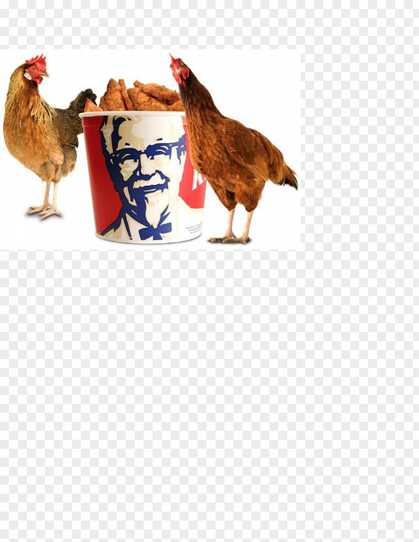 Kfc Colonel Sanders KFC Fried Chicken Fast Food PNG