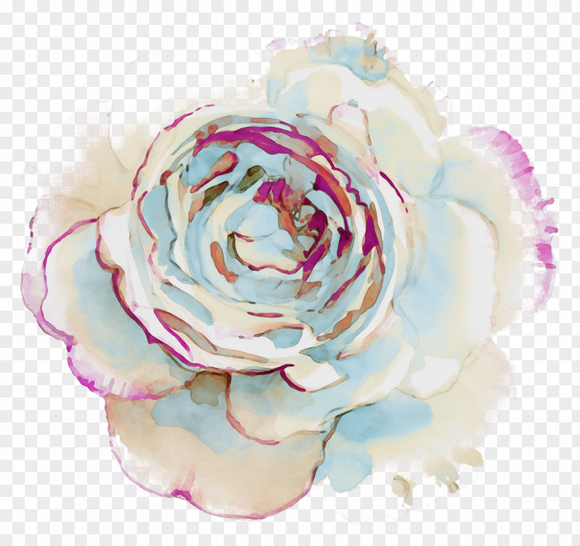 Rose Order Hybrid Tea Watercolor Pink Flowers PNG