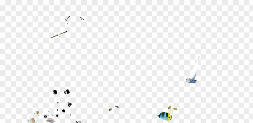 Seagull,fish Material Desktop Wallpaper Sky Font PNG