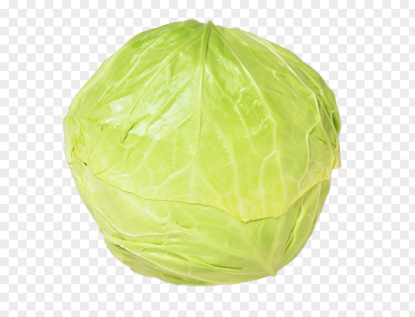 Single Cabbage Download Vegetable Icon PNG