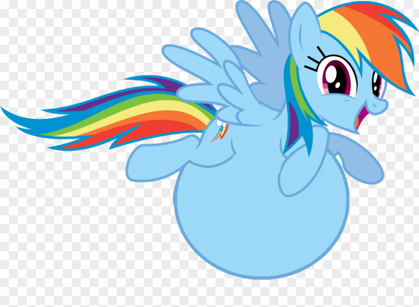 Tummy Rainbow Dash Photography PNG