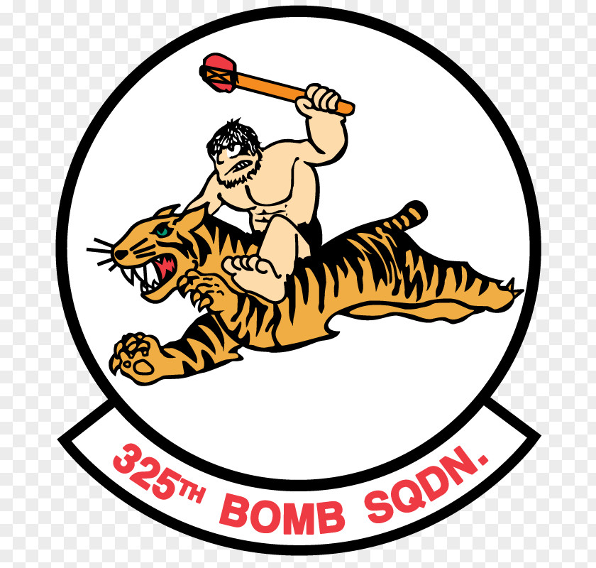 355th Fighter Wing United States Air Force Bomb Squadron PNG