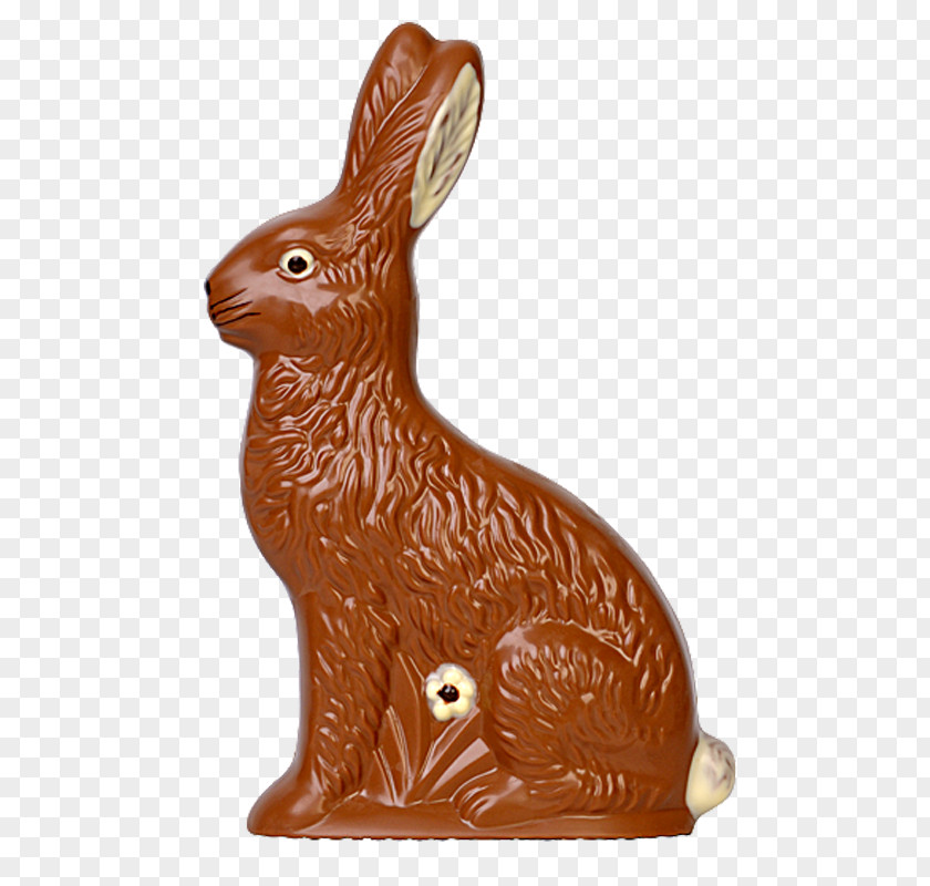 Chocolate Flow Domestic Rabbit Hare Animal PNG