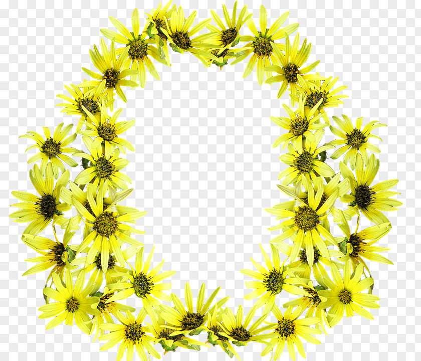 Daisies Frame Flower PNG